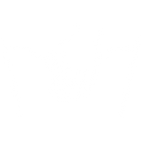 Ruční praní