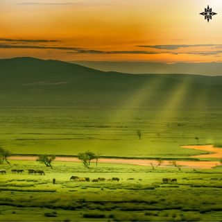 Otevřené pláně, nekonečné obzory a příroda, která inspiruje. 🌾✨