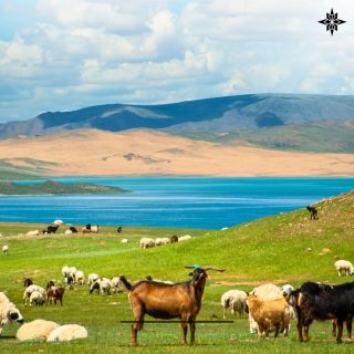 🌄🐐 Pashmii je o respektu k přírodě, tradici a kvalitě, která vydrží. Každý kousek je inspirován těmito hodnotami – silou,...